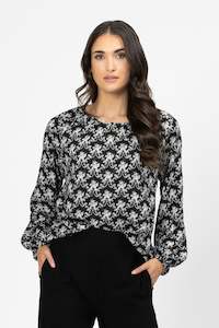 United Top Hydrangea