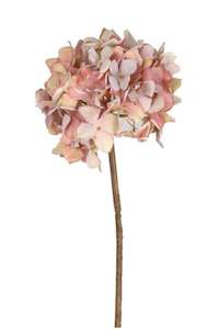 Artisan Florals: Grandiflora Hydrangea Pinks