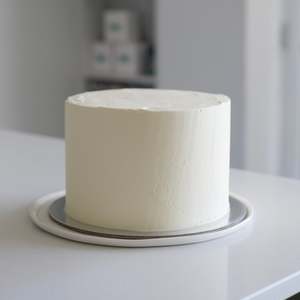 Undecorated Iced Cake