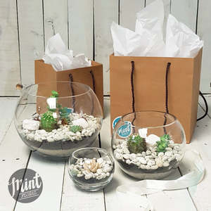Fathers Day 2020 Thank Dad With A Memorable Mont Floral Gift: Glass Bubble Terrarium Garden (WHANGAREI DELIVERY ONLY)