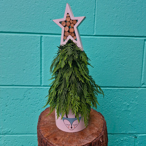 Christmas Flowers Gifts Delivered Whangarei And North Island Wide 2023: Holiday Collection 2025 |  Fresh Festive Tree Arrangement