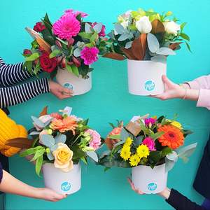 Birthday Click On Image: Florist Wildcard Pot Arrangement