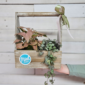 Mothers Day Flowers Sun 10th May 2026: 'NORISH & NURTURE' Wooden Handled Planter | MOTHERS DAY 2026
