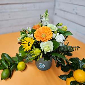Sales Specials Cheap Flowers: FRESH ZEST Flower Pot | Limited Edition
