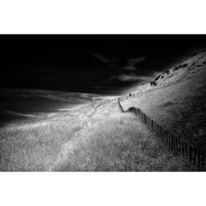 Fence - Minty & Company