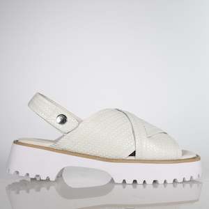 New Arrivals: Bobby Dome