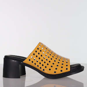 New Arrivals: Connect