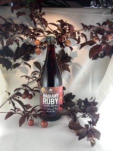 Products: Radiant Ruby - Medium Sparkling Plum Wine - Mirabelle