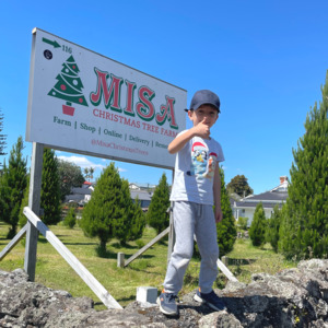 Christmas Tree Removal And Recycle Auckland: Drop your Christmas Tree back to us.