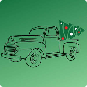 Christmas Tree Removal And Recycle Auckland: North Shore Christmas Tree Removal