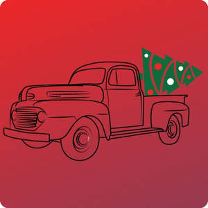 Christmas Tree Removal And Recycle Auckland: Auckland CBD Christmas Tree Removal