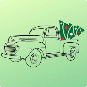 Tree Removal: Far South Auckland Christmas Tree Removal