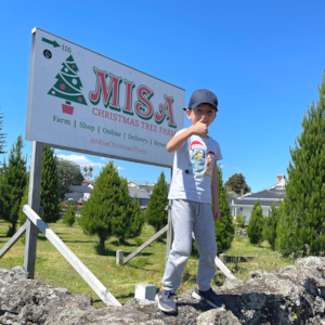 Christmas Tree Removal: Drop your Christmas Tree back to us.