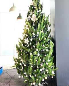 Products: Decoration service