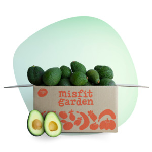 Avocado Box