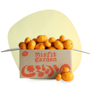 Veggie Boxes: Gisborne Mandarin Box (3kg)