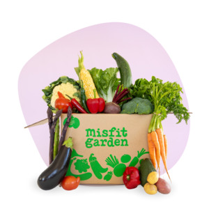 Veg Only | Medium