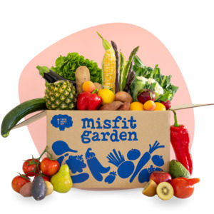 Fruit & Veg | Large