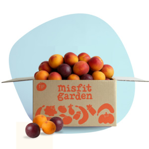 Veggie Boxes: Summer Stonefruit (3kg Mix)