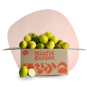 Veggie Boxes: Lime Box (3kg)