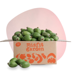 Veggie Boxes: Feijoa Box (4kg)