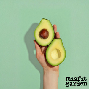 South Island Add Ons: Add x3 Avocados