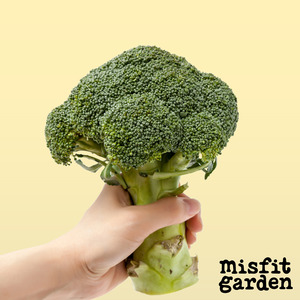 South Island Add Ons: Add 1x Broccoli