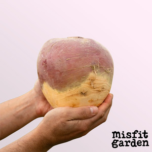 South Island Add Ons: Add 1x Swede