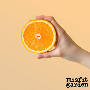 South Island Add Ons: Add 1kg Navel Oranges
