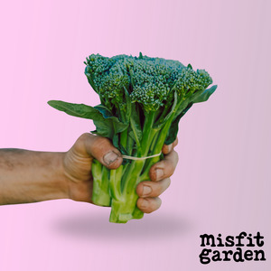 South Island Add Ons: Add 250g Broccolini