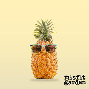 South Island Add Ons: Add x1 Pineapple (import)