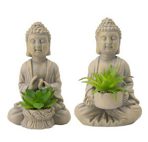 Pair Of Sitting Buddhas With Mini Succulents