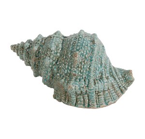 Decorative Seashell Accent - Green