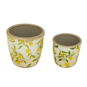 Christmas Gift Guide: Lemon & Leaves Ceramic Planters - Set of 2