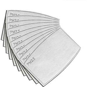 PM2.5 filter 10 pack Adult size