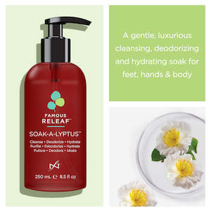 Releaf Soak-A-Lyptus 250ml