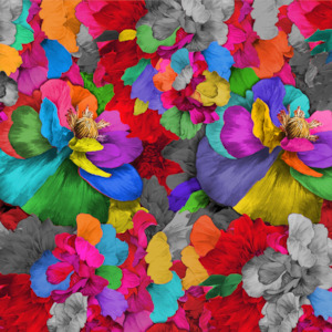 Fabric: Rainbow Tickles Fabric by Miss Lolo