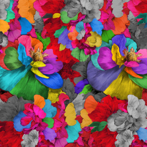 Fabric: Rainbow Tickles Fabric by Miss Lolo
