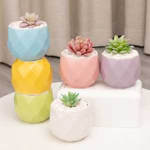 Glazed Ceramic Planter - "Macaron"