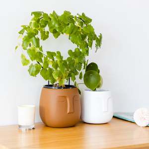 Medium Size Pot: Ceramic Pots/Planters - "The Meditator"