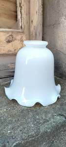 White Replacement Shade      RG6