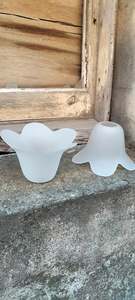 Frosted Petal Shade      FPS