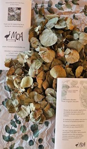 Products: Dried Eucalyptus Leaves with Creative Ideas Booklet