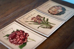 Products: Fine botanical art postcards