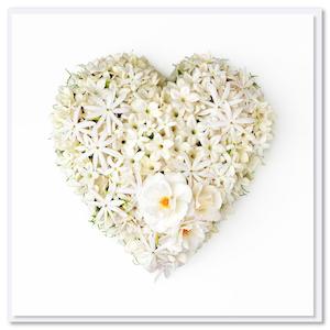 Cards: Card - Stephanotis Heart