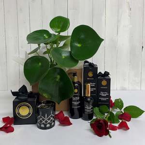 Gifts For Him: Deluxe Polybotrya Houseplant and Surmanti Bundle