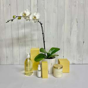 New Baby 1: Gorgeous Orchid and Lyttleton Lights Gift Bundle Sets - The Complete Gift