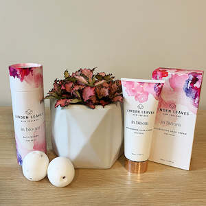 New Baby 1: Fittonia Pamper Pack