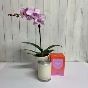 Bundles: Beautiful pink Phalaenopsis Orchid with deliciously scented Large Ecoya Mandarin Gin Candle