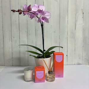 Beautiful pink Phalaenopsis Orchid with deliciously scented Ecoya Mandarin Gin C&hellip;